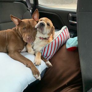 Meet your Posher, Erika